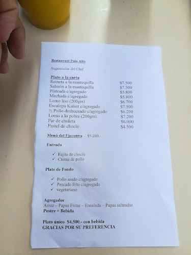 Palo Alto Restaurant - Providencia