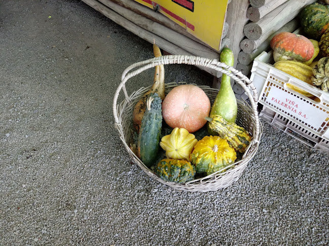 Hornitos de Punta Azul - San Carlos