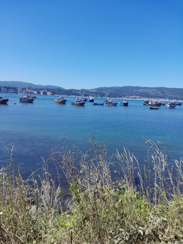 O-252 2036, Tome, Tomé, Bío Bío