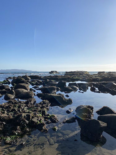 Comentarii opinii despre Restaurante "El Parrón"