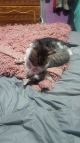 restaurante la casa blanca carvajal 0147 Phone number