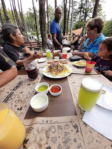 Refugio Sur - Araucanía