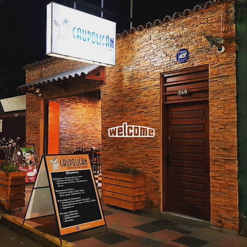 Salteñas Y Empanadas "Caupolicán"