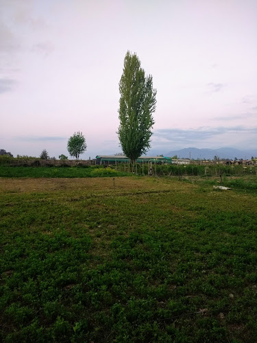 Agricola Balmoral Ltda - Gastronomía y hostelería