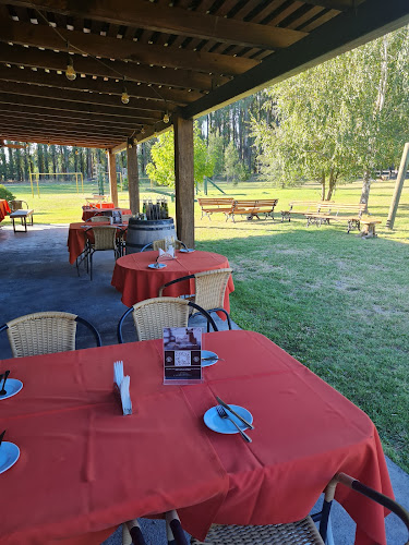 Comentarii opinii despre Restaurant Bagual