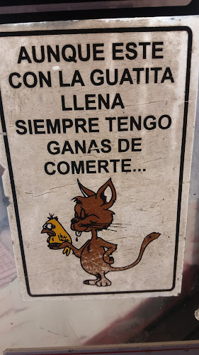 Comentarii opinii despre Pollosaurio - Pollo a las brasas