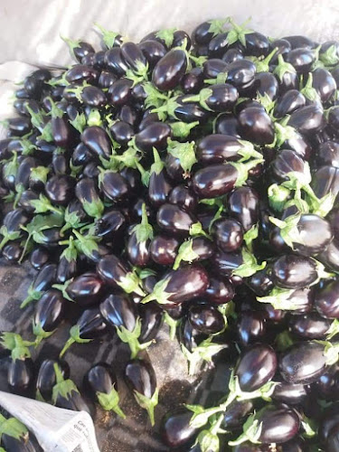 Agrícola Gregorio - Gastronomía y hostelería