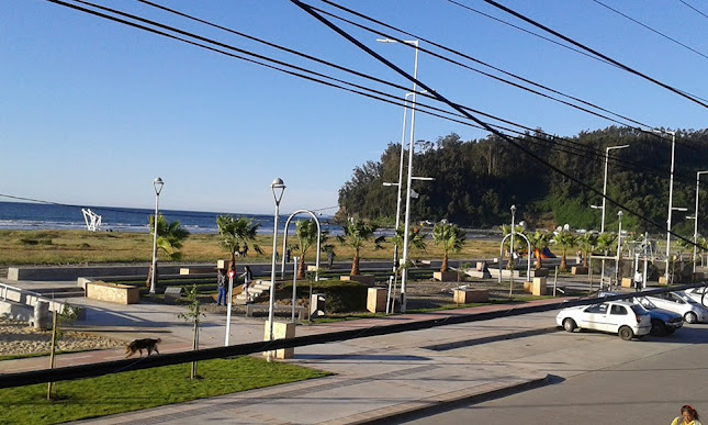 CABAÑAS LARAQUETE, FRENTE AL MAR ,CERCA DE CONCEPCION - Gastronomía y hostelería