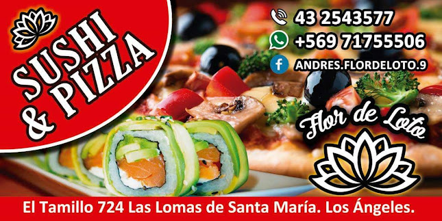 Reviews of Flor De Loto in Los Angeles - Gastronomía y hostelería