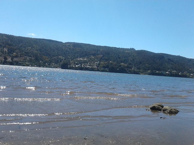 Opinii despre Restauran Y Camping Don De Siempre în Valdivia - Gastronomía y hostelería