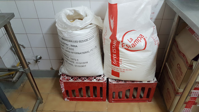 Grumete Bustos, 8390864 Santiago, Independencia, Región Metropolitana