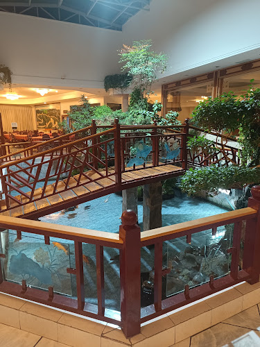 Comentarii opinii despre Restaurant Jardín Chino