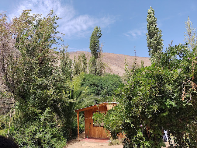 Las TERRAZAS DE DOÑA MELY - Gastronomía y hostelería