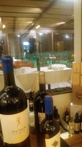 Camino Los Boldos.Sector Barreales, Santa Cruz, O'Higgins