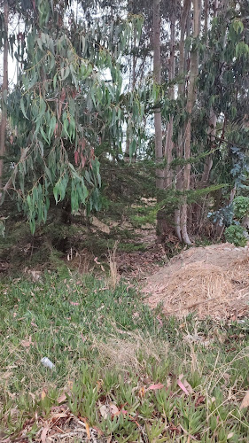 Hosteria Santa Raquel - Gastronomía y hostelería