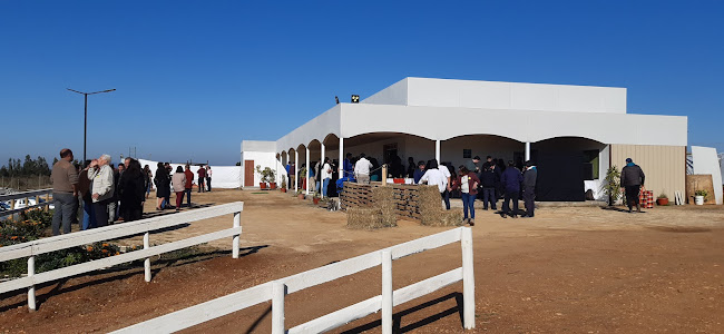 CENTRO DE EVENTOS " ALTO PILEN " - Cauquenes