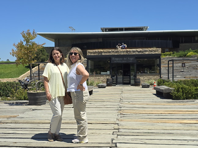 Comentarii opinii despre Fuegos de Apalta