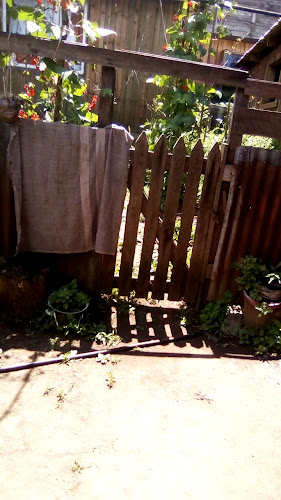 Opinii despre Provisiones Queña în Cañete - Gastronomía y hostelería