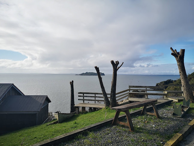 Comments and reviews of Don Cantino