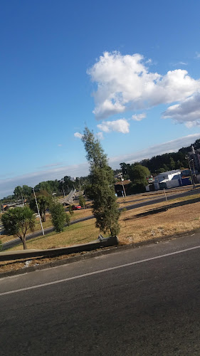 Mercado Particular "Camila" - Osorno