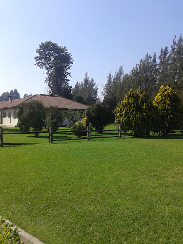 Agricola Los Carrizos - San Vicente de Tagua Tagua