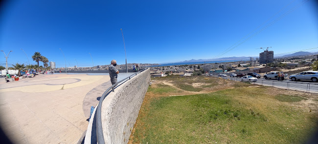 Feria De san Juan, coquimbo - Gastronomía y hostelería