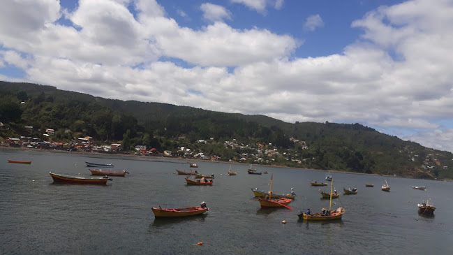 T-352 3650, Valdivia, Los Ríos