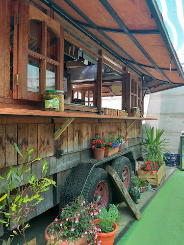 Japon del lago - Frutillar