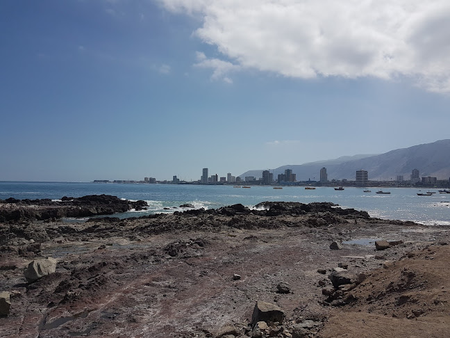 Antojos Restaurante a la carta mariscos y pescados Phone number