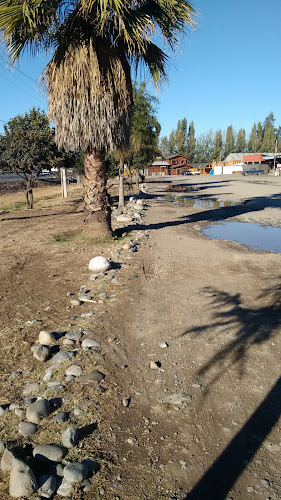 El Socio Restaurant Phone number