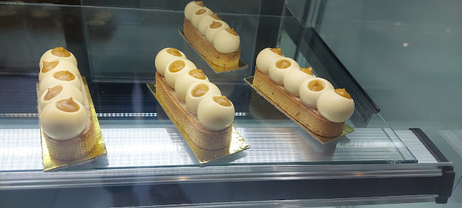 Av. Borgoño 14580, Viña del Mar, Valparaíso