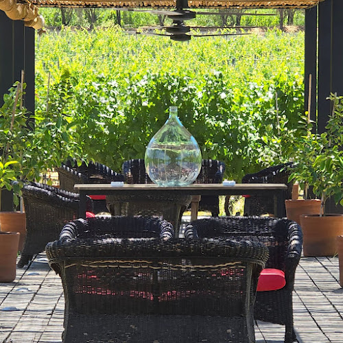 Comentarii opinii despre Fuegos de Apalta