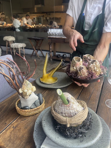 Comentarii opinii despre Boragó