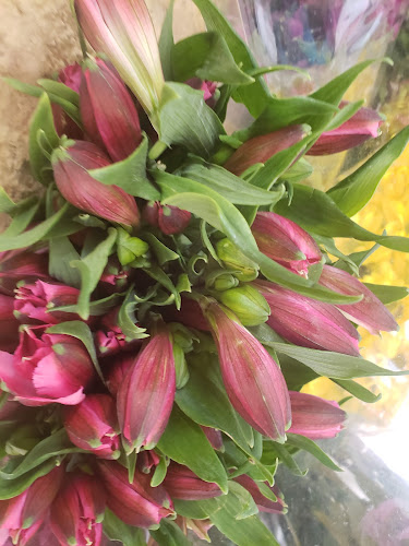 Av. Pdte. Eduardo Frei Montalva 1475, Independencia, Región Metropolitana