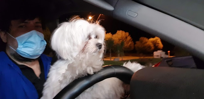 Pizzería Doña Vitalia - Gastronomía y hostelería