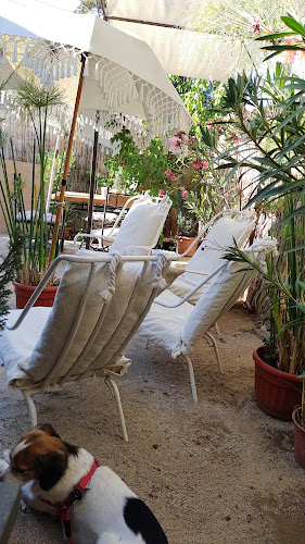 Opinii despre Jardín Gelato în Paine - Gastronomía y hostelería