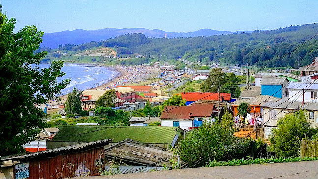 Opinii despre Rio petrohue în Coronel - Gastronomía y hostelería