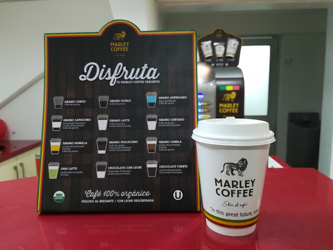 Cocoliche Heladería Artesanal