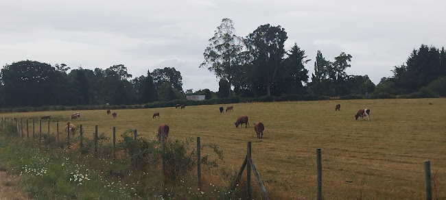 Punto y Coma 215 - Gastronomía y hostelería