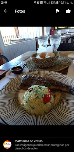 Parcela, Puchingue, Punucapa, Valdivia, Los Ríos