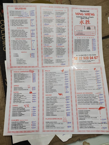 Restaurant Chino Yong Sheng - Estación Central