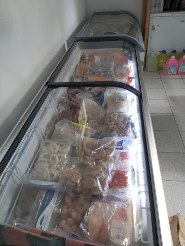 Frozen Congelados - Placilla