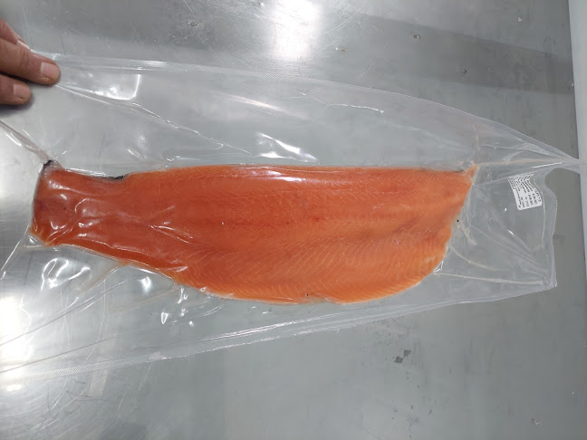 Inversiones San Agustín Spa