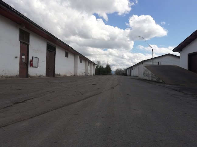 Comentarii opinii despre Fundo El Parrón