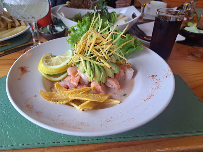 C. Guido Beck de Ramberga 536, 5210000 Panguipulli, Los Ríos