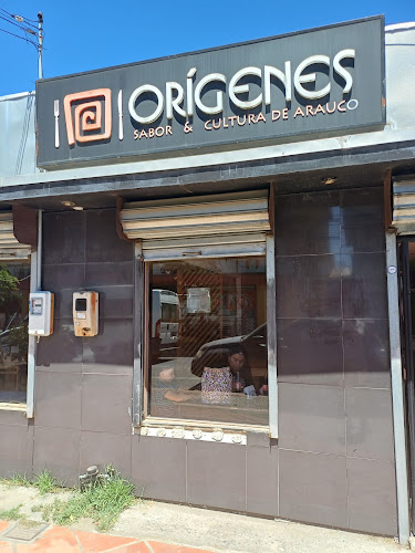 Reviews of Restaurant Origenes in Arauco - Gastronomía y hostelería