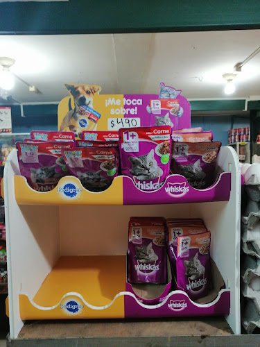 Panadería Pigabel - Osorno