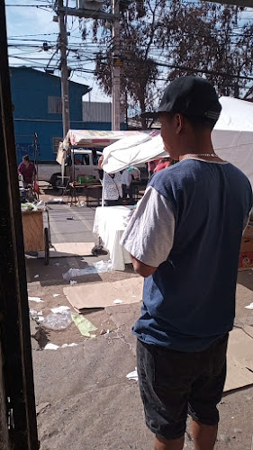 Feria Recoleta Phone number