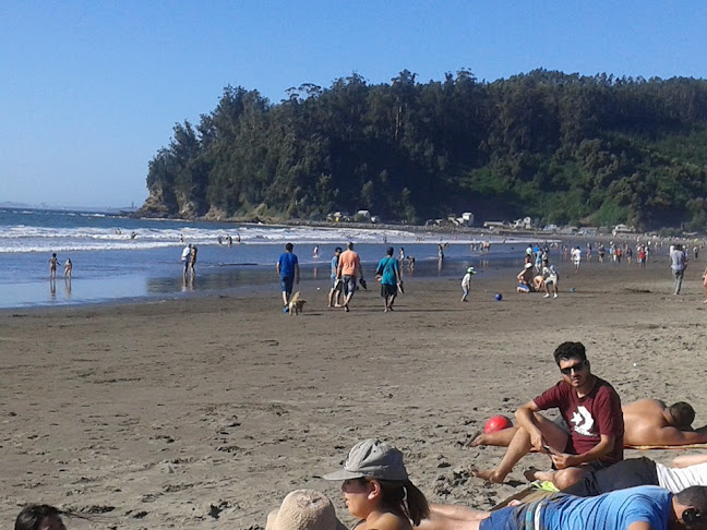 CABAÑAS LARAQUETE, FRENTE AL MAR ,CERCA DE CONCEPCION - Arauco