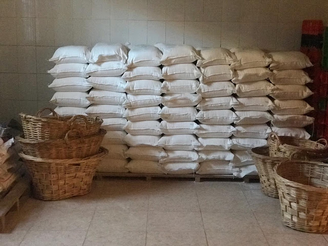 Curicó - Iloca - Lipimavida 231, Curicó, Licantén, Maule